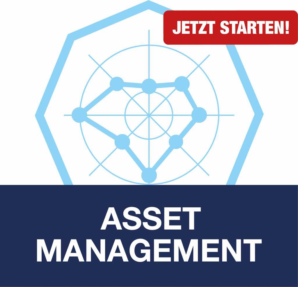 Positionsbestimmung Ihrer Asset Management-Organisation